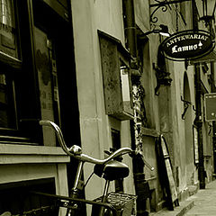 photo "bicycle"