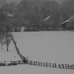 photo "winter tales"