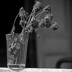 photo "Summer-verandah. Midday"