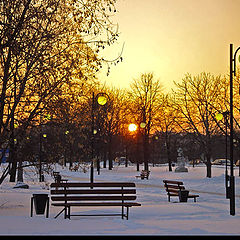 photo "Winter evening"