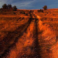 photo "the road"