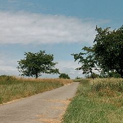 photo "along the road with clouds"