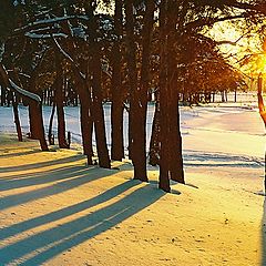 фото "ФЕВРАЛЬ"