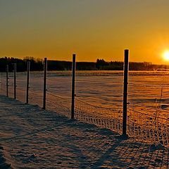 photo "February morning"