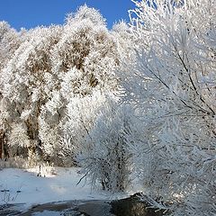 фото "Лучший день этой зимы 2."