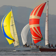 photo "Strong Spinnakers"