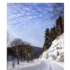 photo "Winter track"