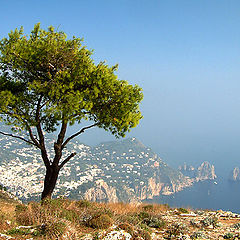 photo "on the cliff"