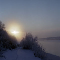 photo "February. Frosty morning."