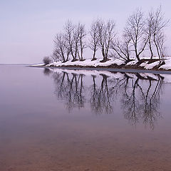 фото "Morning reflection"