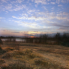 photo "The cow supper."