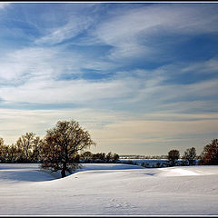 photo "Breathing"