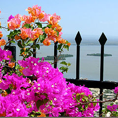 photo "Colors of Cartagena!"