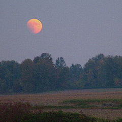 photo "Eclipse of the Moon"