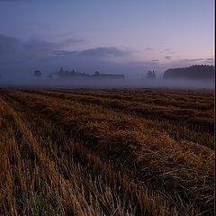 photo "after harvests"