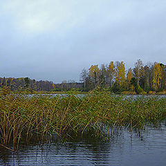 фото "Осенний день (5)"