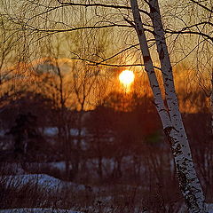 photo "Winter evening"