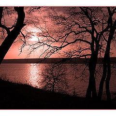 photo "silhouettes in red"