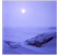photo "Polar night"