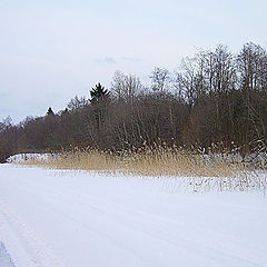 фото "Зимний день (2)"