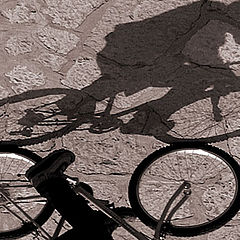 фото "the riding shadow"