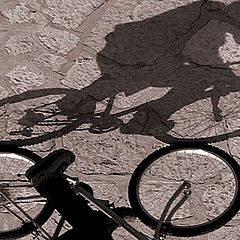 photo "the riding shadow"