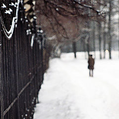 фотоальбом "Russia: northern tales"