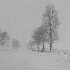 photo "sad winter"