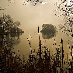 photo "dreamcatcher"