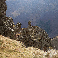 фото "stone head"