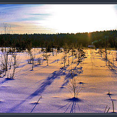 фото "Рассвет над лесным озером"