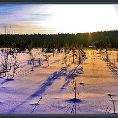 photo "Dawn above wood lake"