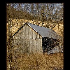 фото "Golden Years"