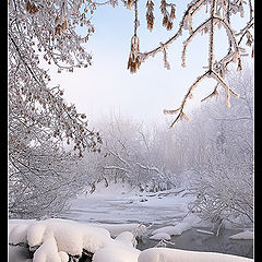 photo "February morning"