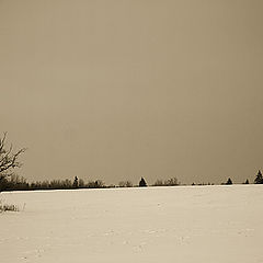 photo "Shot № 4529. One in a field the soldier."
