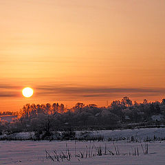 photo "Frosty morning."