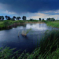 фото "гроза"