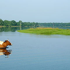 photo "The Morning in the Russia :)"