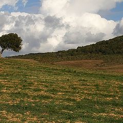 photo "Alentejo landscape"