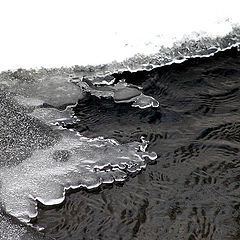 photo "Fragility of ice"