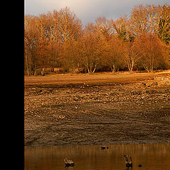 photo "my autumn`s done come"