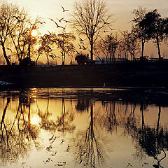 photo "Lake in the deserted park"