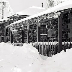 фото "Snowscape II"