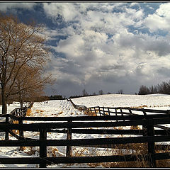 photo "In Winter Mood"