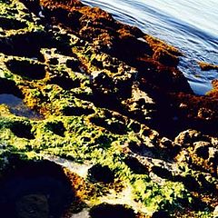 фото "Rock Pools"