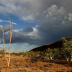 photo "Australia"