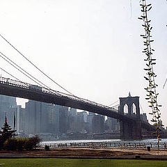 photo "Brooklyn Bridge"