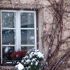 фото "Snow-fall.2"
