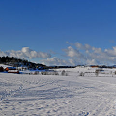 фото "Winter land of Dragvoll"