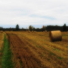 фото "landscape with haystack"